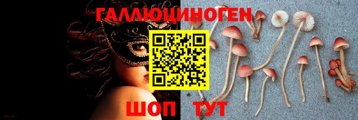 Псилоцибиновые грибы Psilocybe  Вход с VPN  Мирный  Галлюциногенные грибы мухоморы 